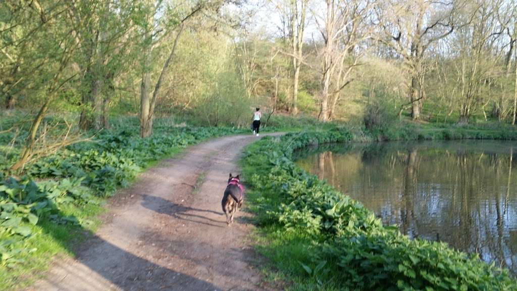 Rushy Mead Nature Reserve | Bishops Stortford CM22 7QJ, UK