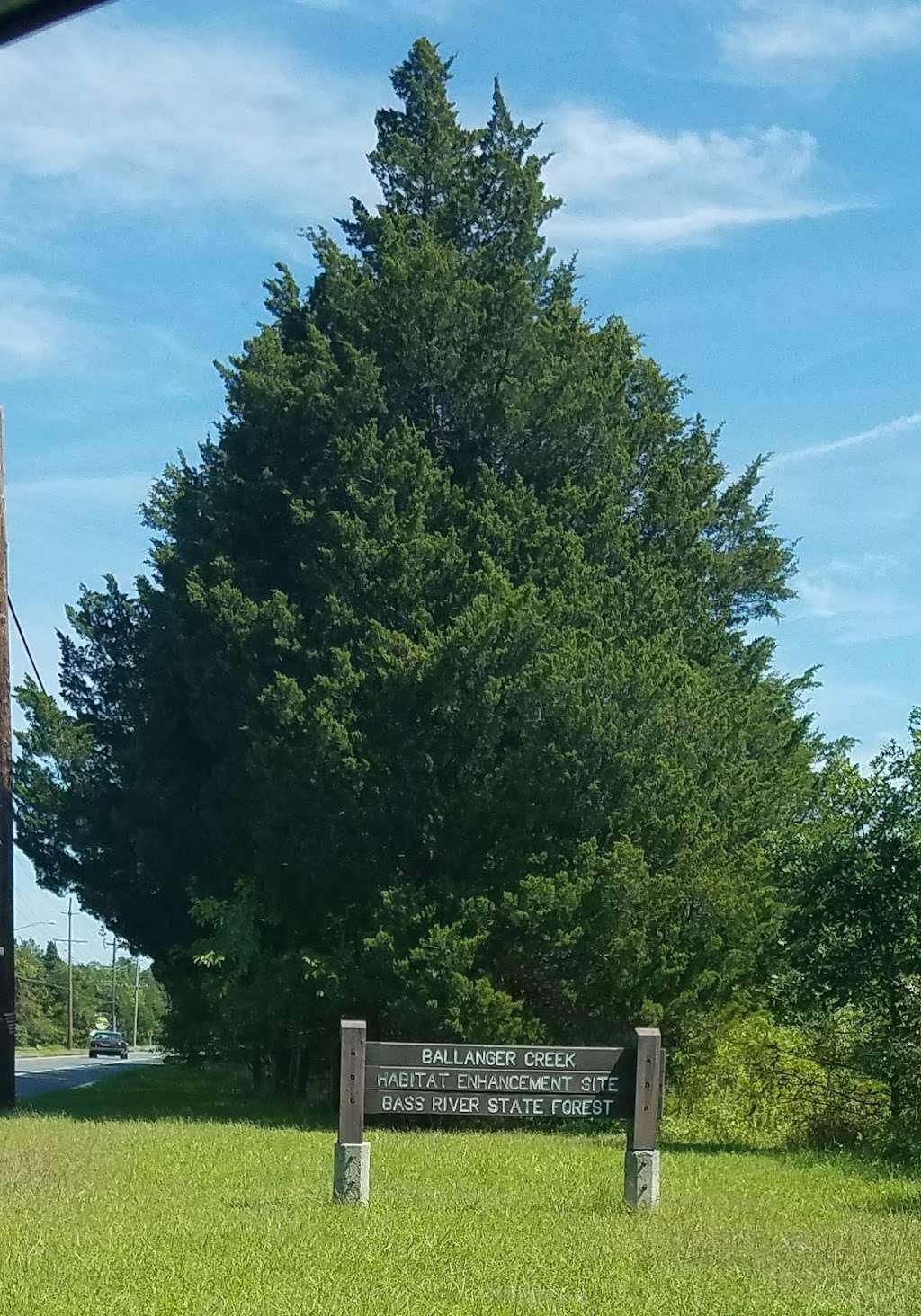 Ballanger Creek Habitat Enhancement Site | 5962 U.S. 9, Tuckerton, NJ 08087