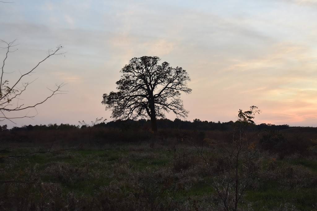 Dorthy Carnes Trails | Banker Rd, Fort Atkinson, WI 53538, USA