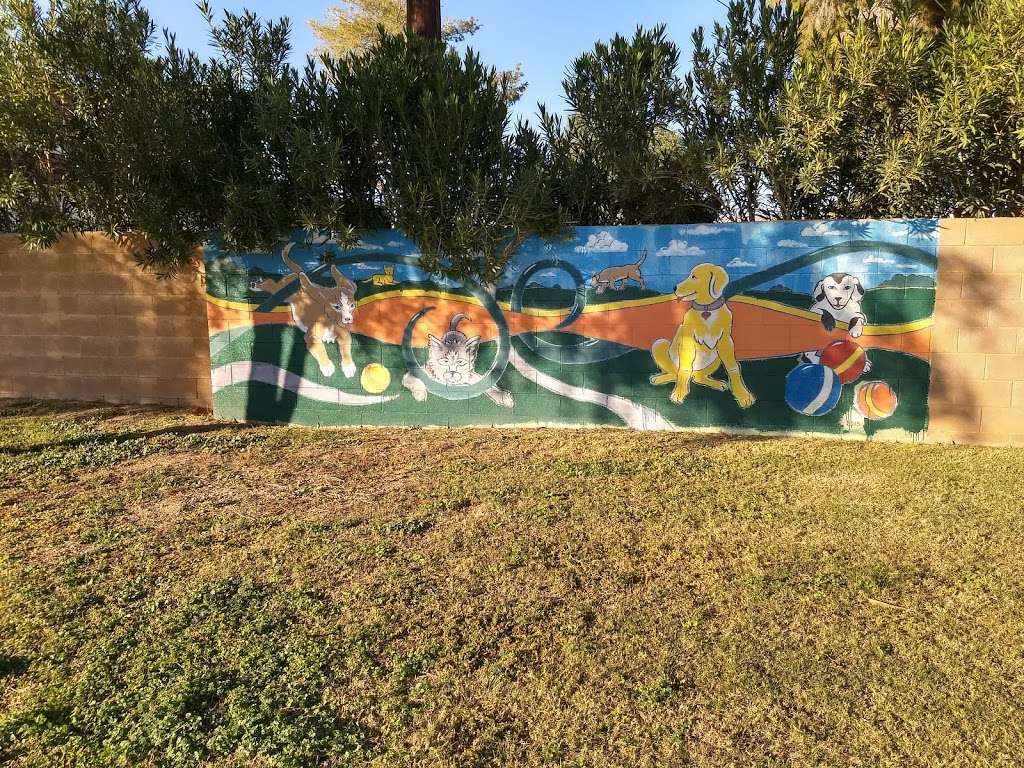 Citizens Dog Park of Youngtown | 12030 N 113th Ave, Youngtown, AZ 85363, USA