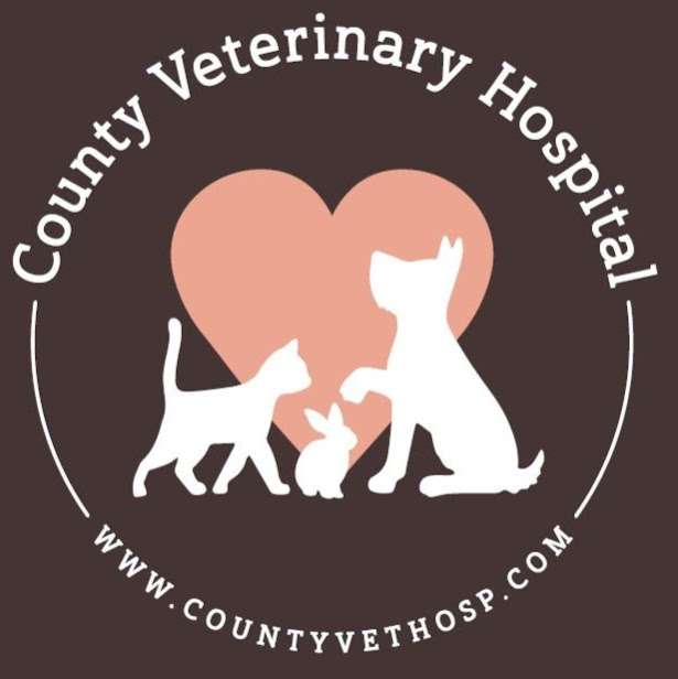 County Veterinary Hospital | 4222 NJ-27, Princeton, NJ 08540 | Phone: (732) 422-7500