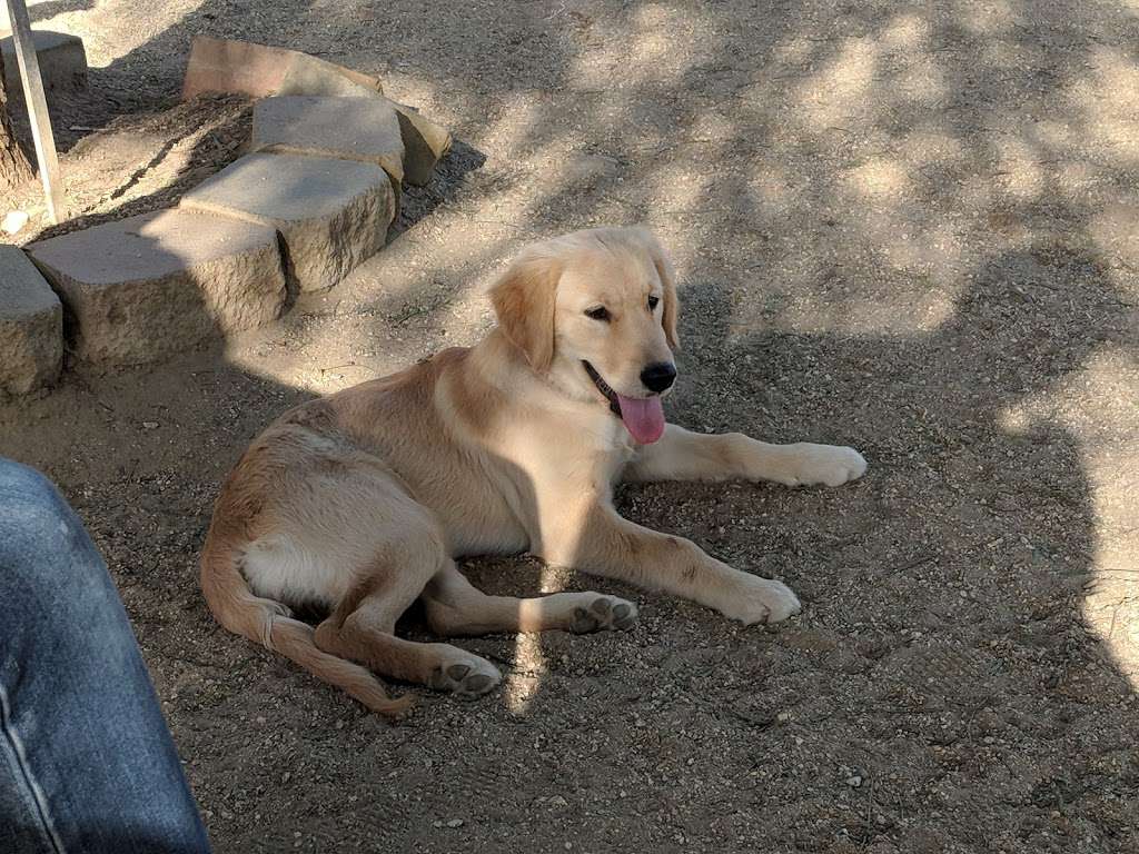 Boneyard Dog Park | Duquesne Ave, Culver City, CA 90230, USA | Phone: (310) 390-9114