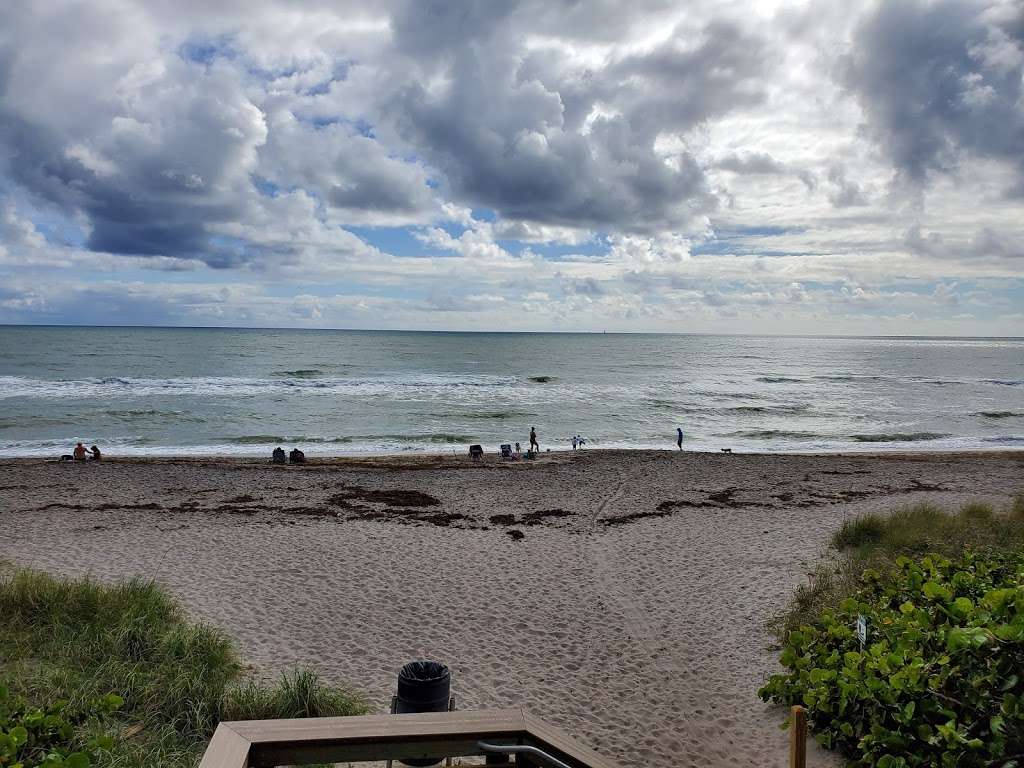 Juno Dog Beach - park  | Photo 8 of 10 | Address: 48 Ocean Blvd, Jupiter, FL 33477, USA