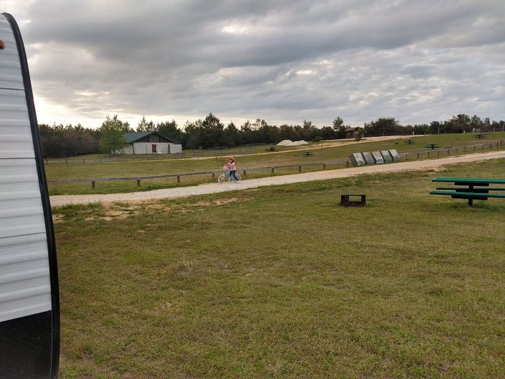 Big Scrub Campground | 11990 SE NFR 14, Umatilla, FL 32784, USA | Phone: (352) 669-3153