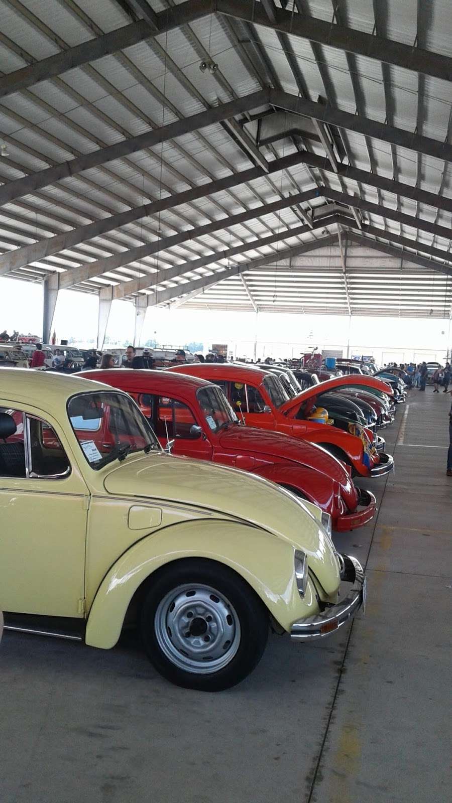 Traders Village Parking Lot | Pearsall, TX 78252, USA