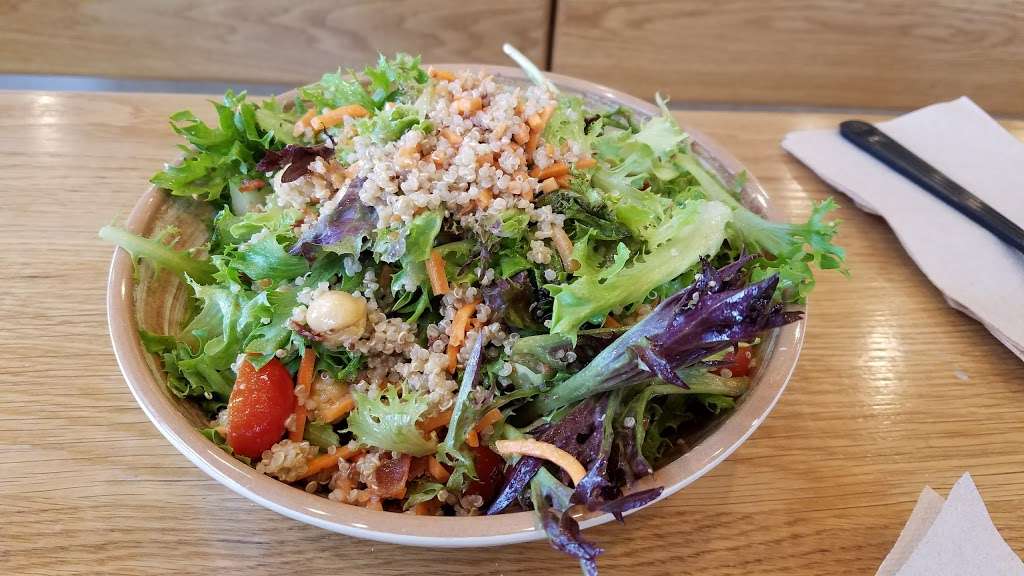 ToppSalad | 198 Endicott St, Danvers, MA 01923, USA | Phone: (978) 762-8677