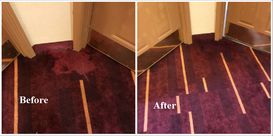 cleaning revolution carpet dyeing | 3803 N Sugar Ln, Bloomington, IN 47404, USA | Phone: (812) 327-6001