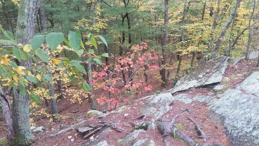 Snake Den State Park Trailhead Parking | 124 Brown Ave #198, Johnston, RI 02919, USA