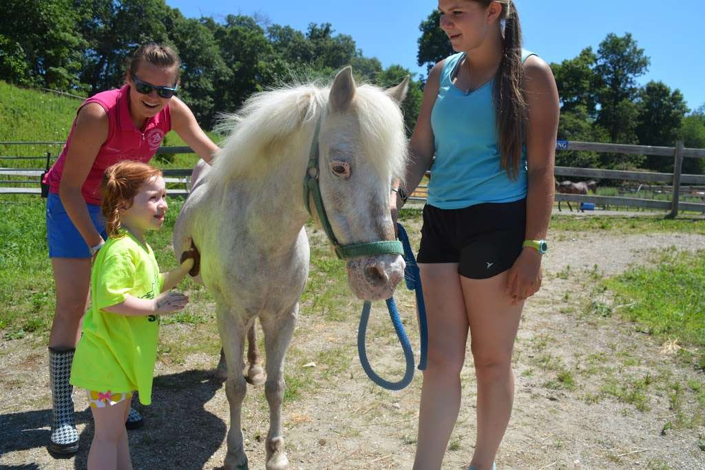 Thomas School Of Horsemanship Summer Day Camp & Riding School | 250 Round Swamp Rd, Melville, NY 11747, USA | Phone: (631) 692-6840
