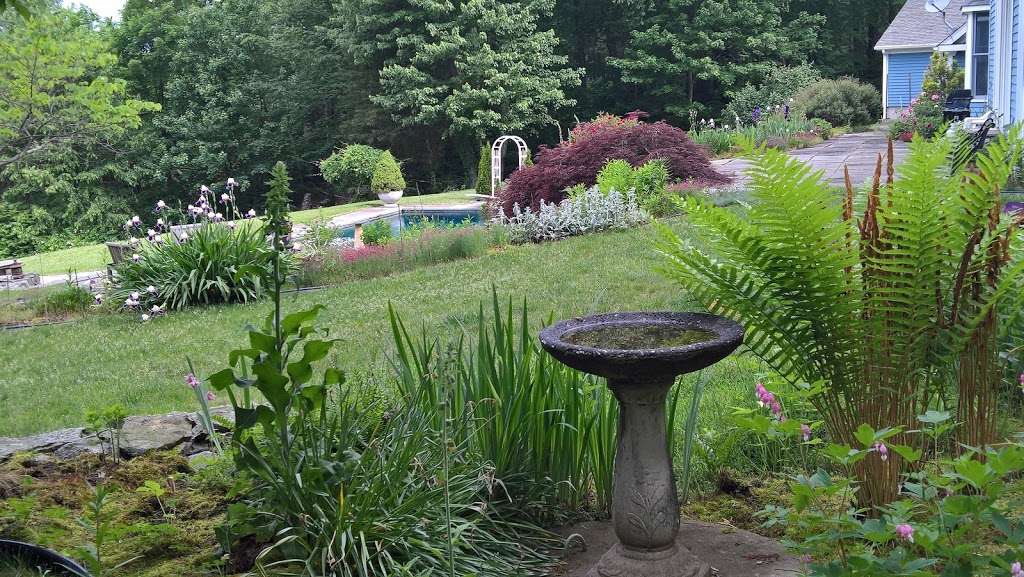 Chase Alias | 14 Kimberly Dr, Monroe, CT 06468, USA | Phone: (203) 590-3900