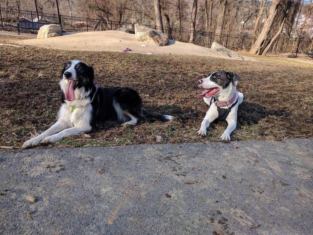 Easton Dog Park | Easton, PA 18042