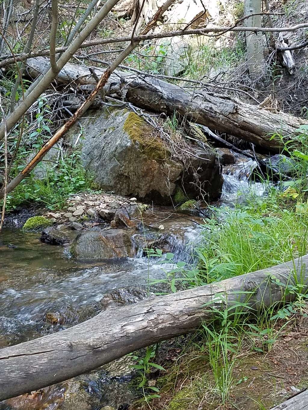 Ben Tyler Trailhead | 54166 US Hwy 285, Bailey, CO 80421, USA