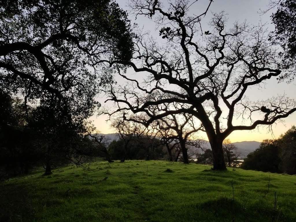 Deer Island Open Space | 320 Deer Island Ln, Novato, CA 94945, USA