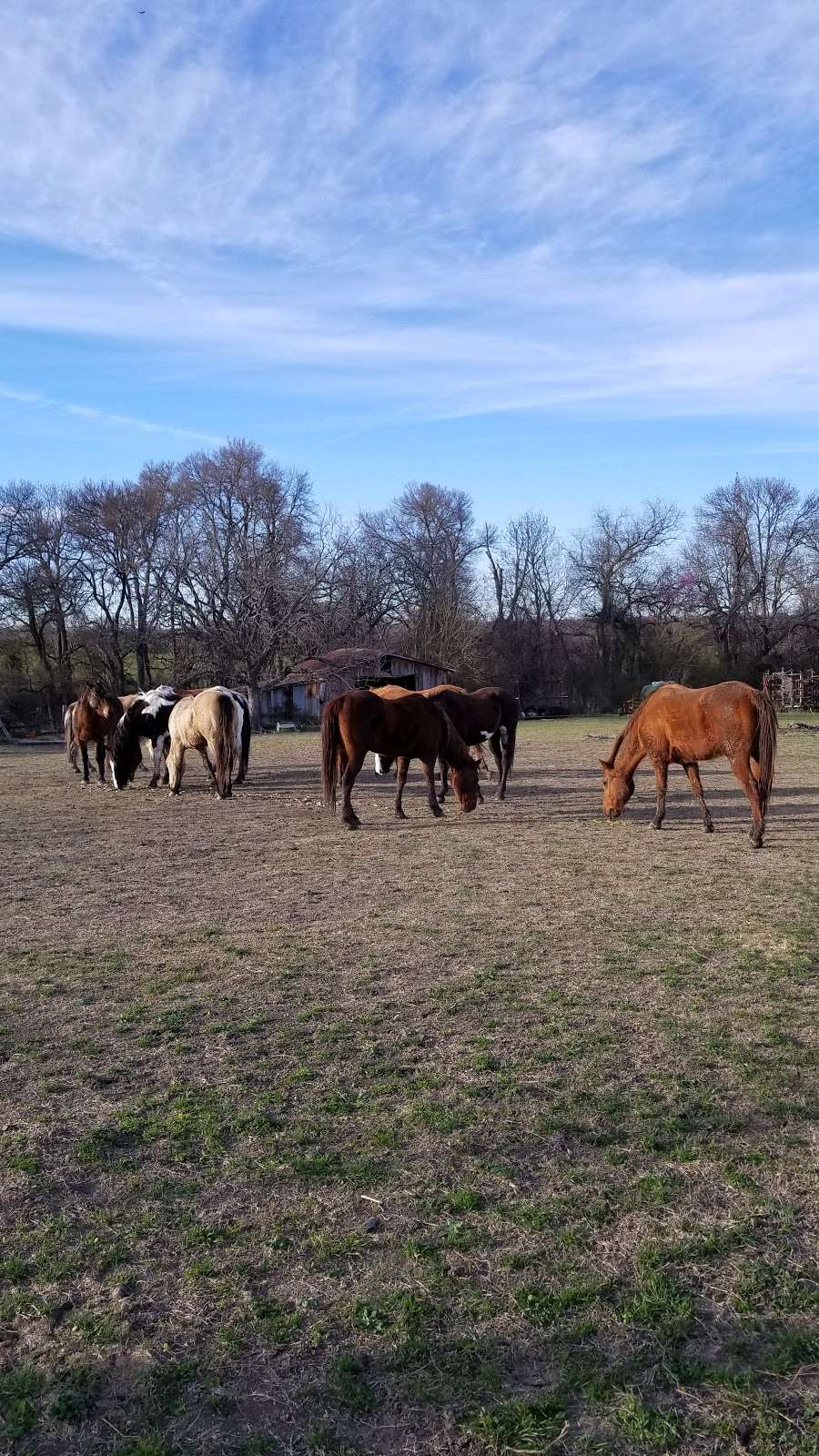 Broken Bow Ranch | 1001 Alto Rd, Seagoville, TX 75159, USA | Phone: (208) 572-0875