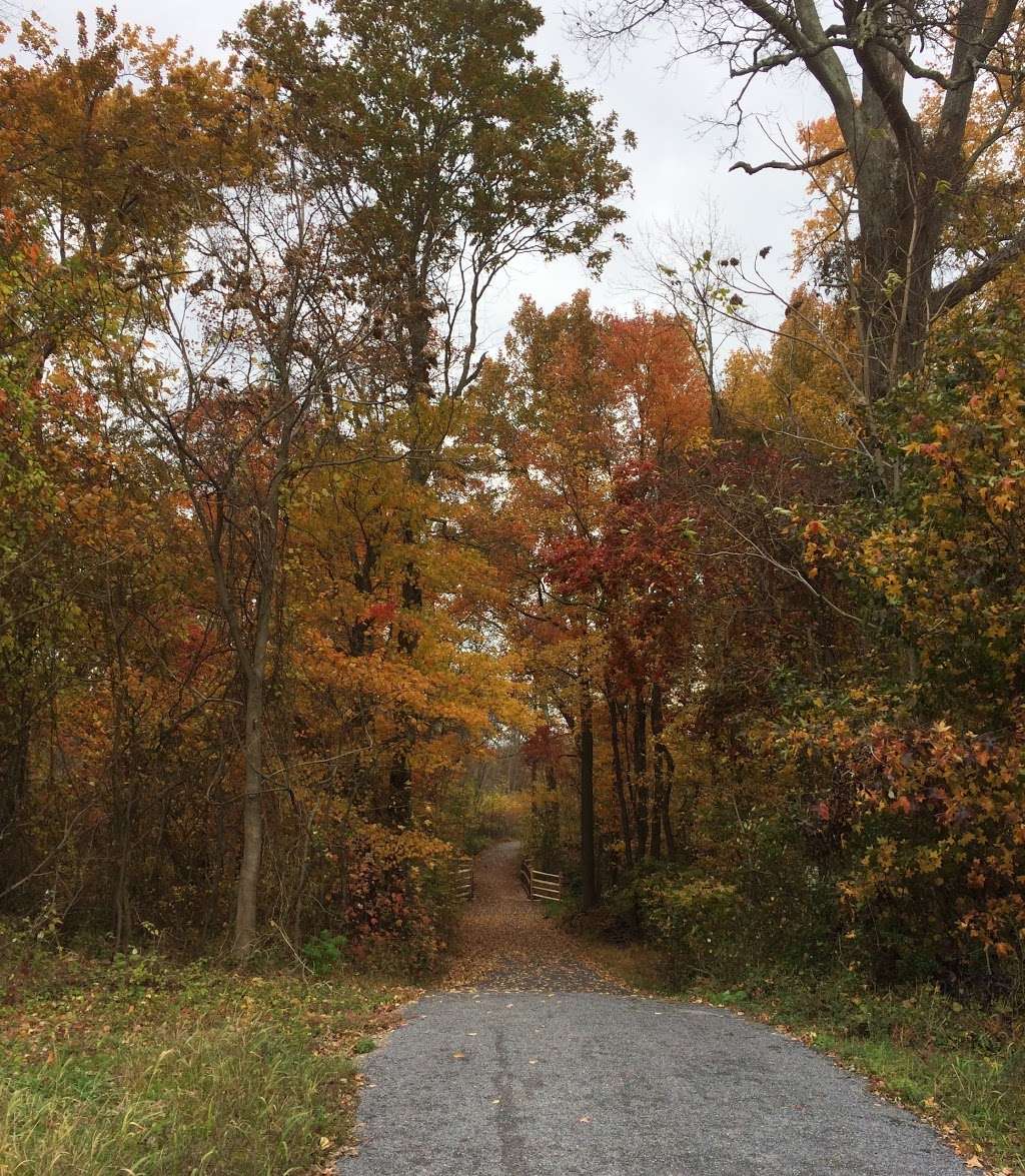 Union Transportation Trail Trailhead | 8 Millstream Rd, Cream Ridge, NJ 08514