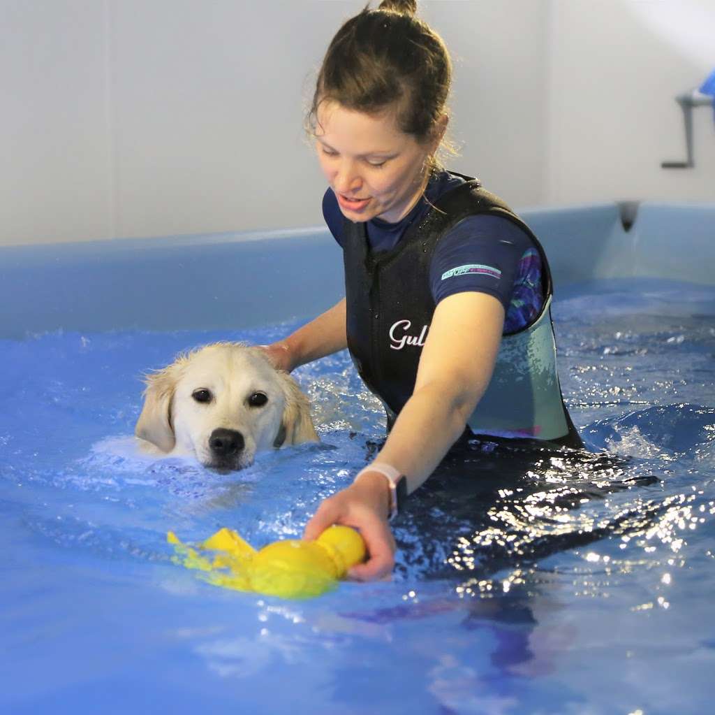 Pawsome Paddles Hydrotherapy Centre | Foxholes Farm, London Rd, Hertford SG13 7NT, UK | Phone: 07923 074372