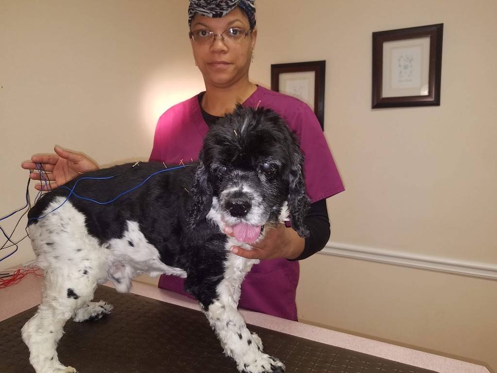 Atlanta Veterinary Skin & Allergy Clinic, PC | 2803 Shallowford Rd, Atlanta, GA 30341, USA | Phone: (770) 936-8922