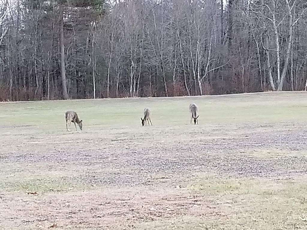 Bryant Woods Open Space | Plaistow, NH 03865, USA