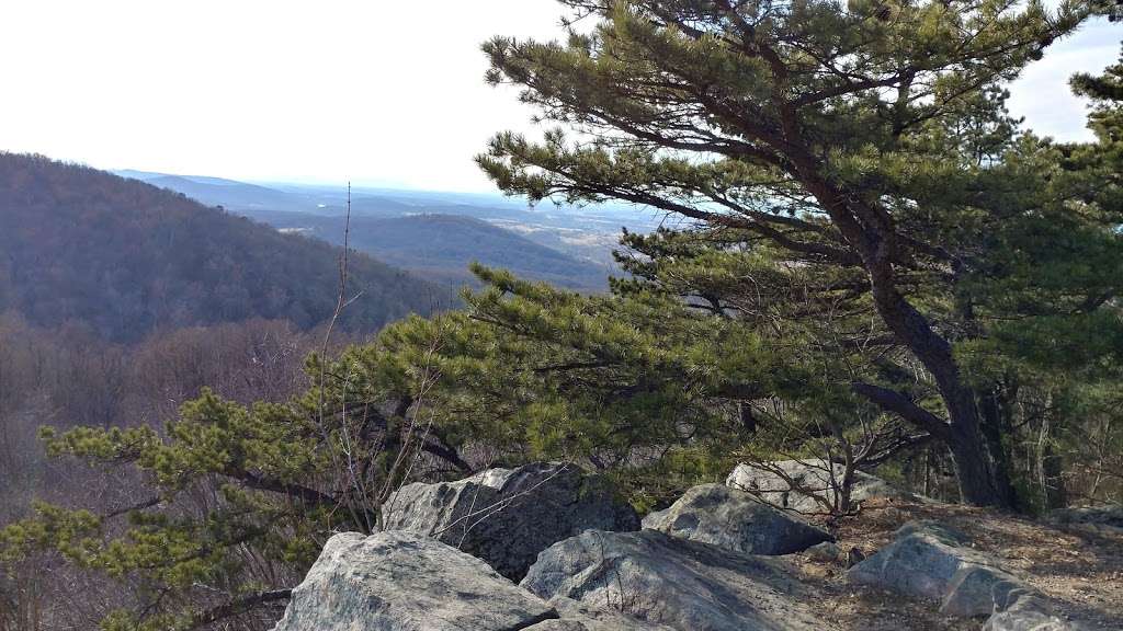 Appalachian Trail | Appalachian Trail, Bluemont, VA 20135, USA