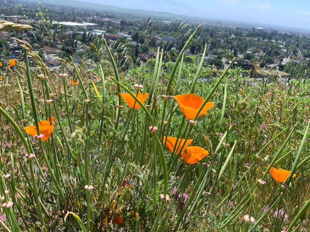 Hilbkorn Open Space Preserve Hiking Trailhead | Fairfield, CA 94534, USA