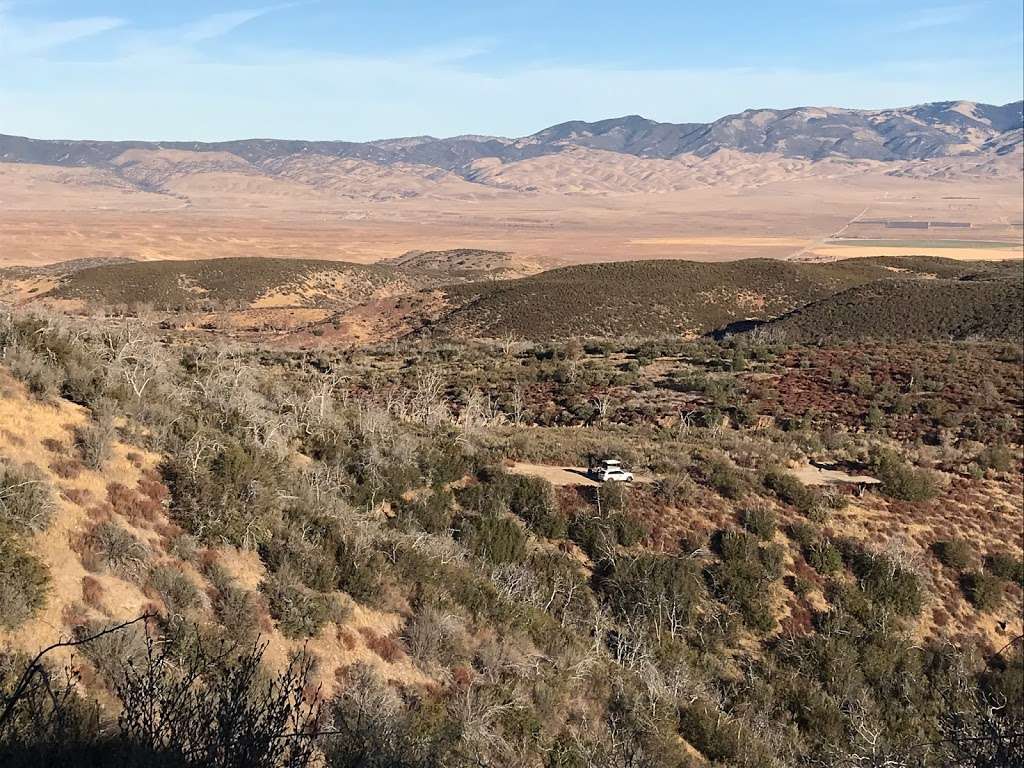 Horse Trail Campground | Lake Hughes, CA 93532