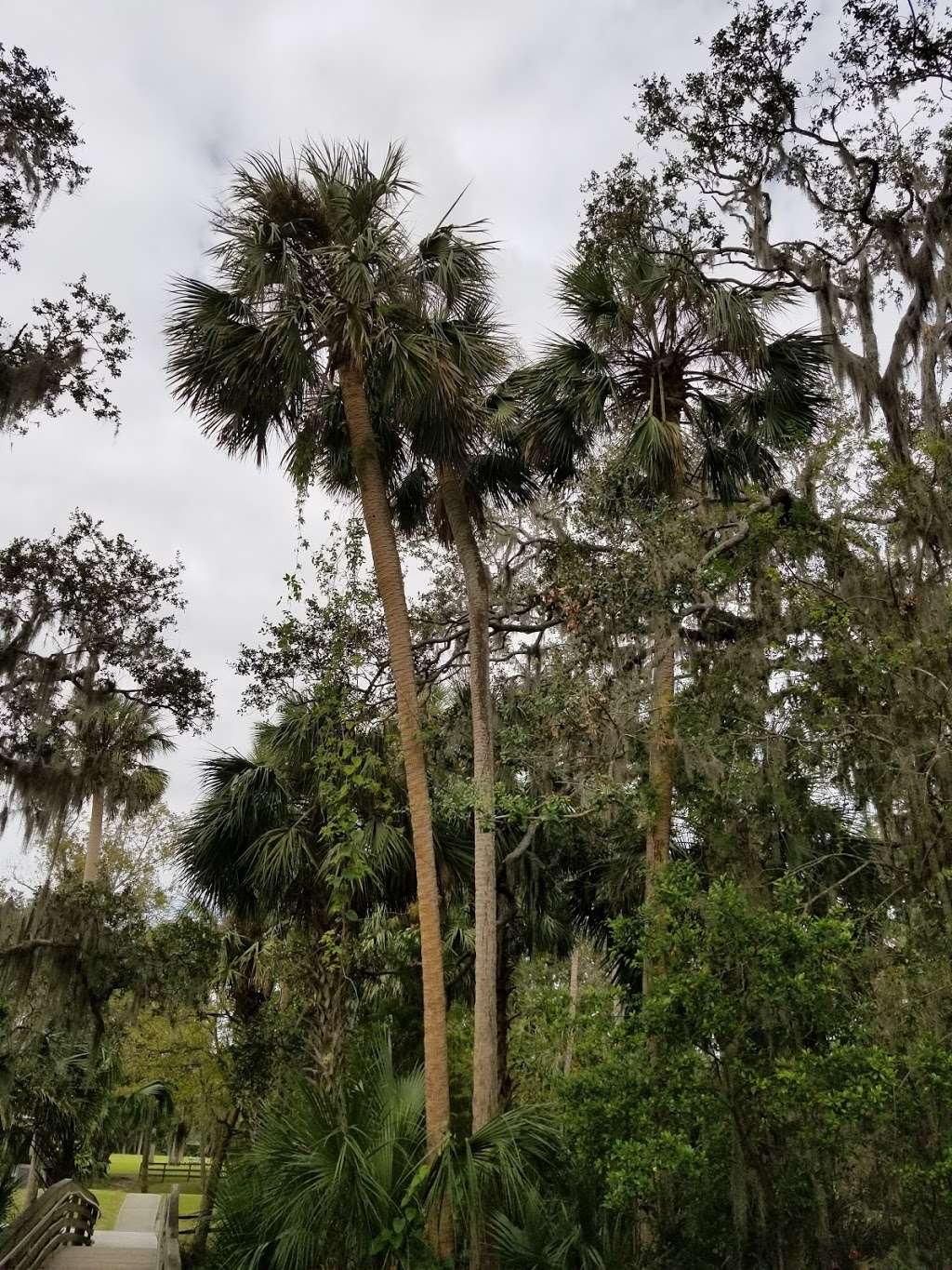 Gemini Springs North Trailhead | Spring-To-Spring Trail, DeBary, FL 32713, USA