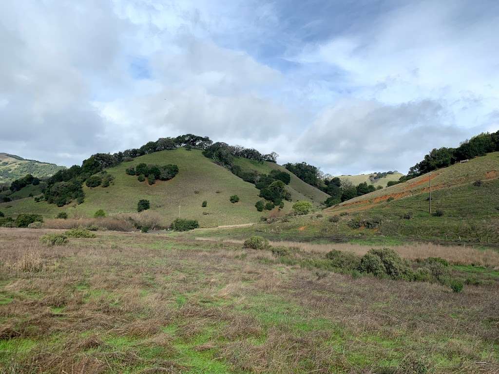 Indian Tree Open Space Preserve | Novato, CA 94947, USA