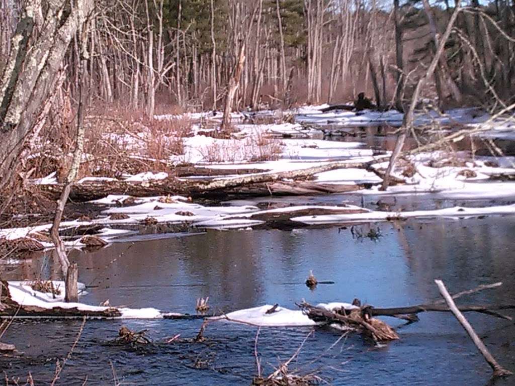 Heath Hen Meadow | Acton, MA 01720, USA