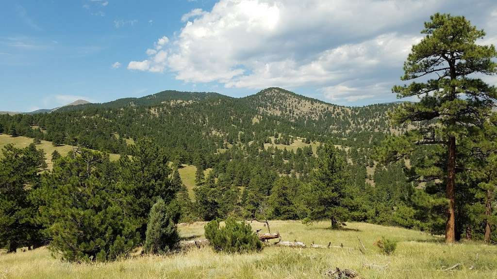 Betasso Preserve Trailhead | Betasso Rd, Boulder, CO 80302 | Phone: (303) 678-6200