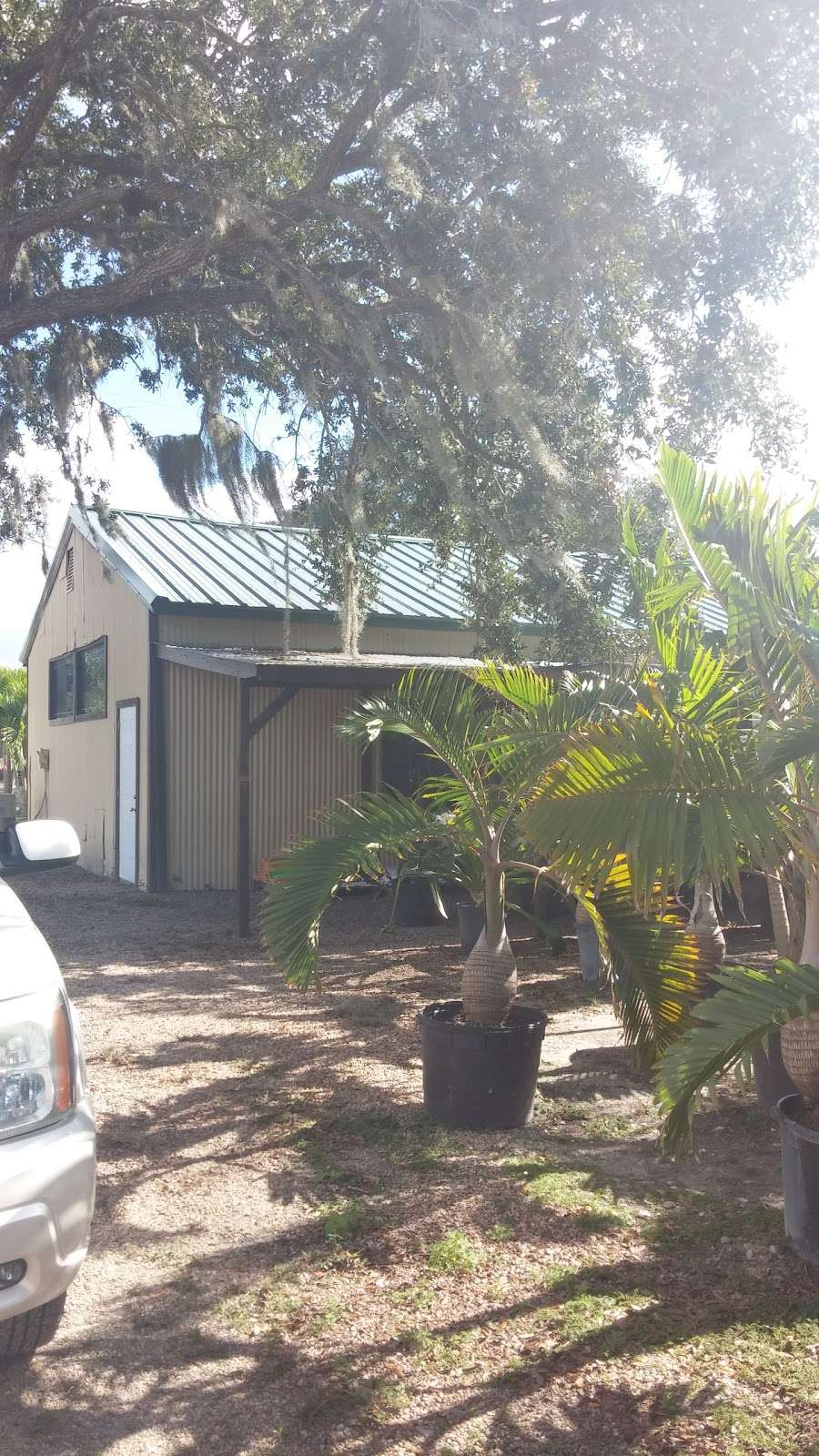 Palm Gardens Nursery | 4761 Judge Rd, Orlando, FL 32812 | Phone: (407) 851-6630