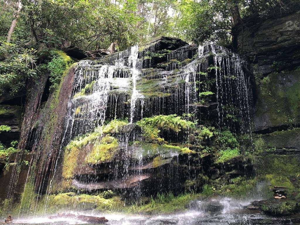 Neversink Gorge Trails | 754 Katrina Falls Rd, Rock Hill, NY 12775, USA