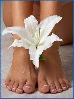 Morning Dew Foot Spa | 398 Larkfield Rd, East Northport, NY 11731 | Phone: (631) 266-6868