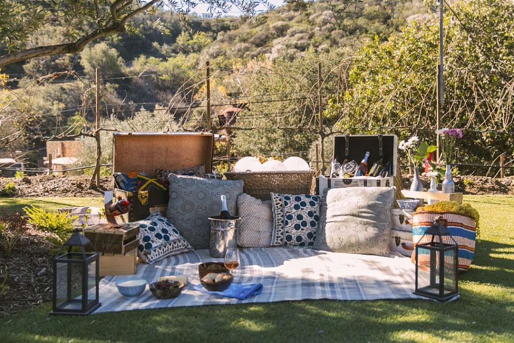 Malibu Wine Hikes | 32111 Mulholland Hwy, Malibu, CA 90265, USA | Phone: (424) 346-0041