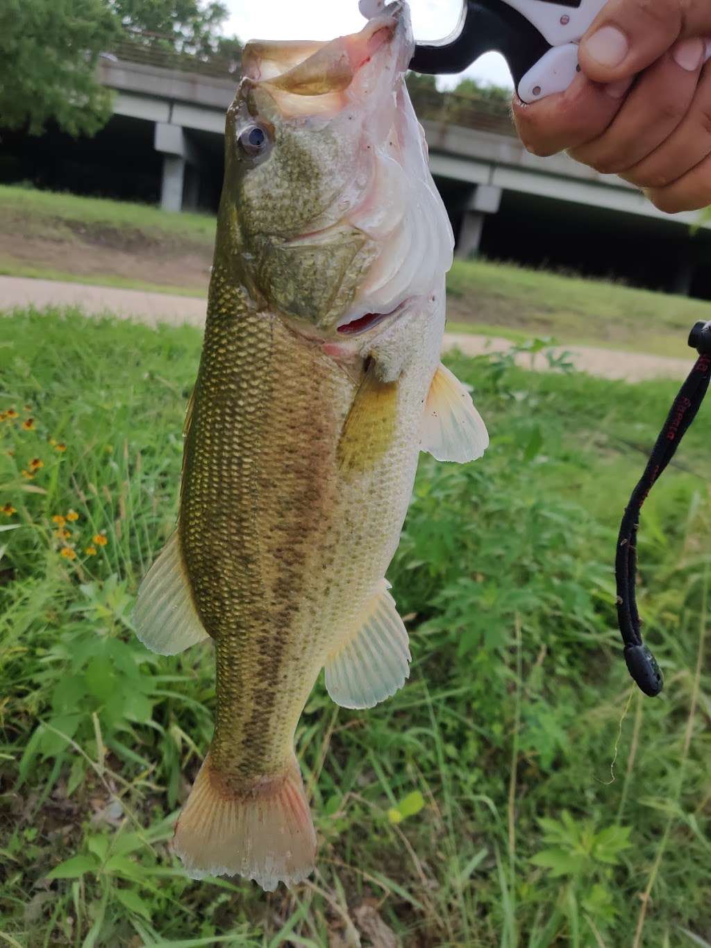 Spring Creek Greenbelt - Fred E. Harris Section | Mapleridge, Garland texas, 6006 N Shiloh Rd, Garland, TX 75044, USA | Phone: (972) 205-2750