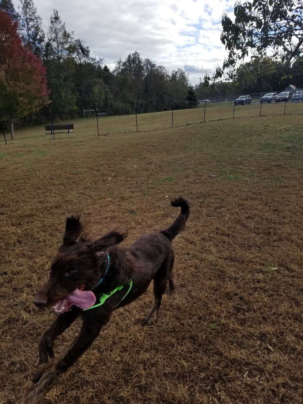 Grays Road Dog Park | 2695 Grays Rd, Prince Frederick, MD 20678, USA