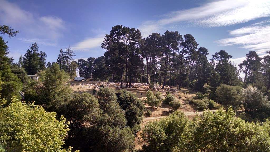 Moon Gate | Connector Trail, Oakland, CA 94611