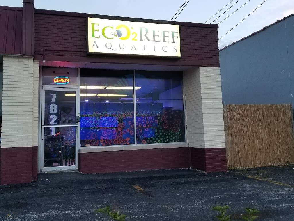Eco2Reef | 7821 W Lincoln Hwy, Frankfort, IL 60423 | Phone: (779) 324-5552