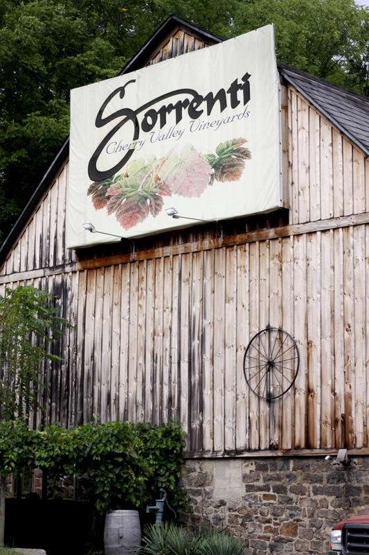 Sorrenti Cherry Valley Vineyard 130 Lower Cherry Valley Rd
