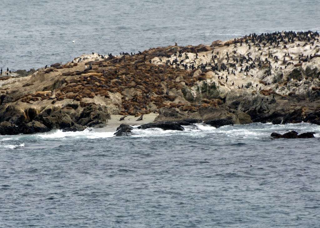 Doran Park (Bodega Bay) | Bodega Bay, CA 94923, USA