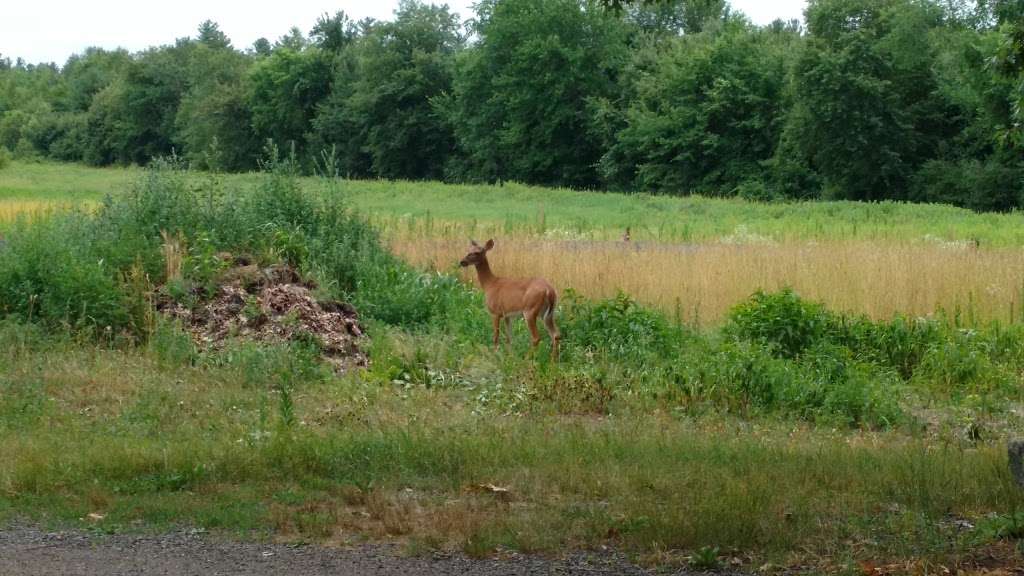 Flerra Meadows | 400 Stow Rd, Boxborough, MA 01719, USA