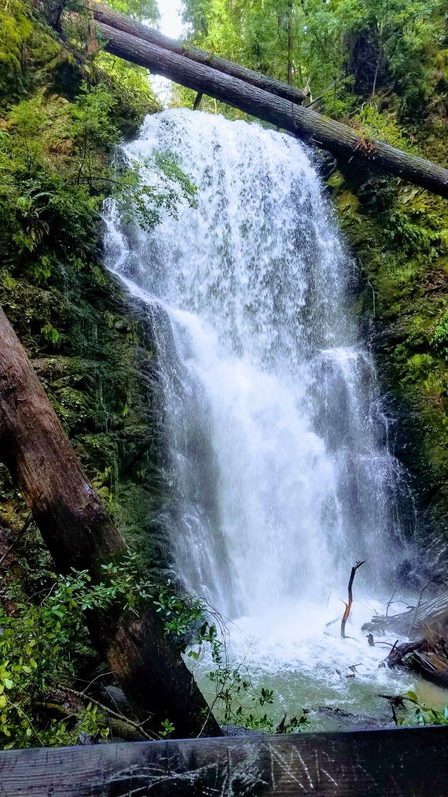 Berry Creek Falls Loop Trail | Boulder Creek, CA 95006