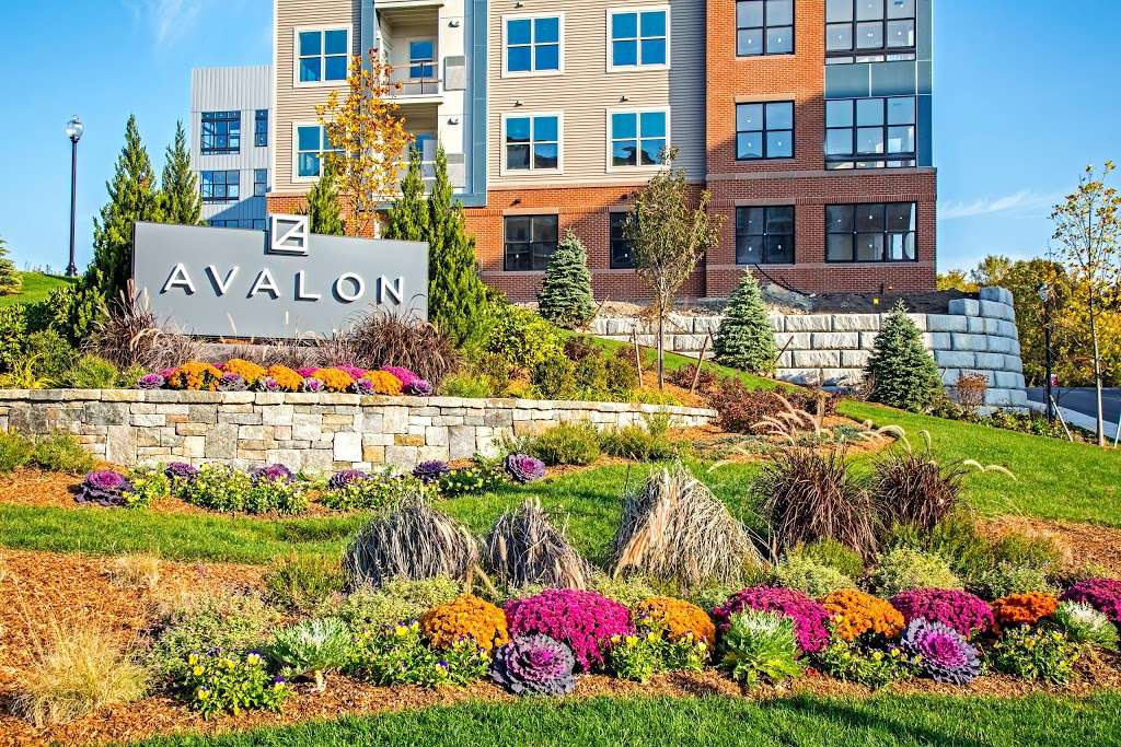 Avalon Quincy | 229 Quarry St, Quincy, MA 02169, USA | Phone: (617) 405-3948