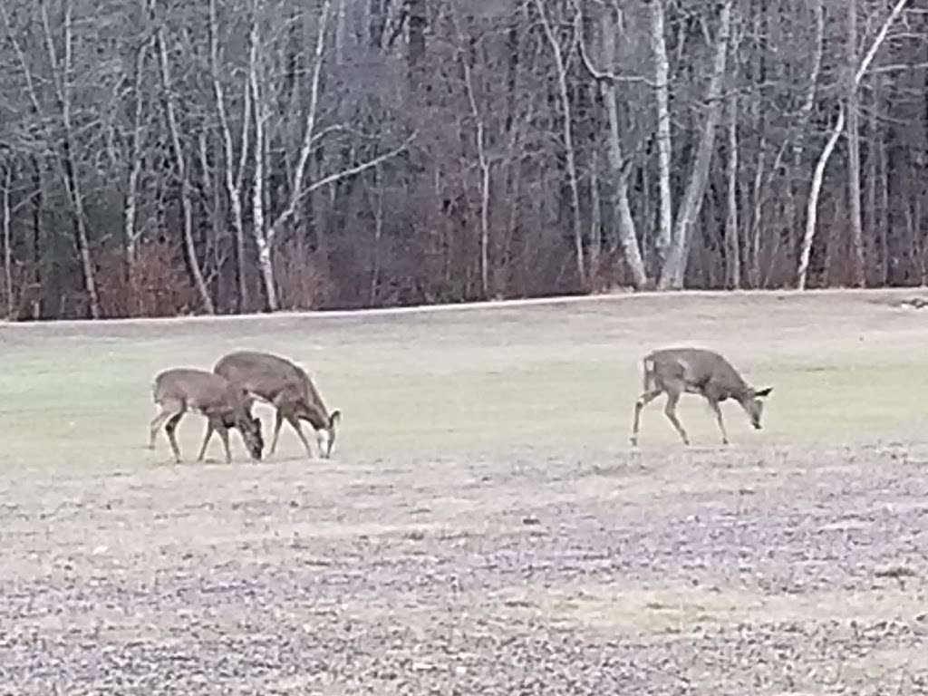 Bryant Woods Open Space | Plaistow, NH 03865, USA