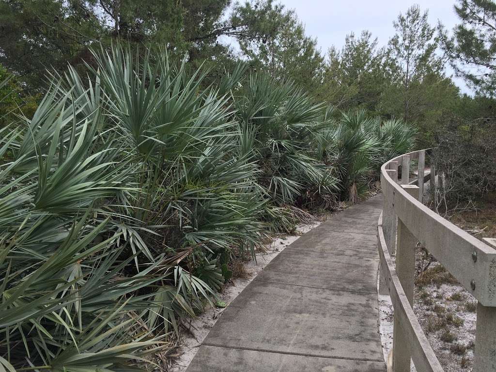 Crystal Lakes Sand Pine Scrub | 3299 NE 3rd Ave, Pompano Beach, FL 33064 | Phone: (954) 357-5100