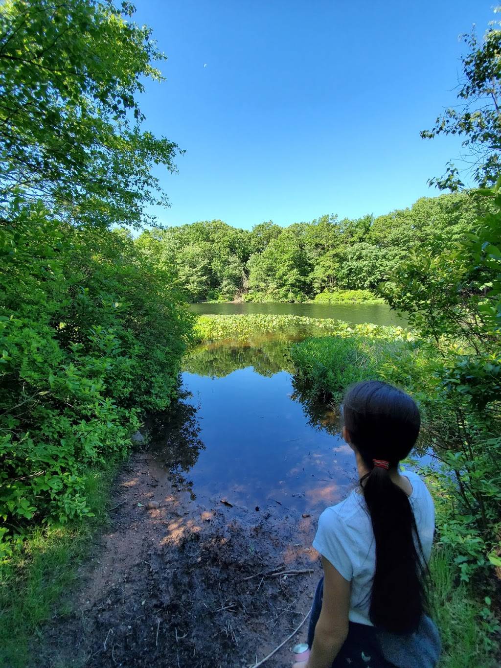 Greenbelt Conservancy Headquarters (High Rock Park) | 200 Nevada Ave, Staten Island, NY 10306, USA | Phone: (718) 667-2165