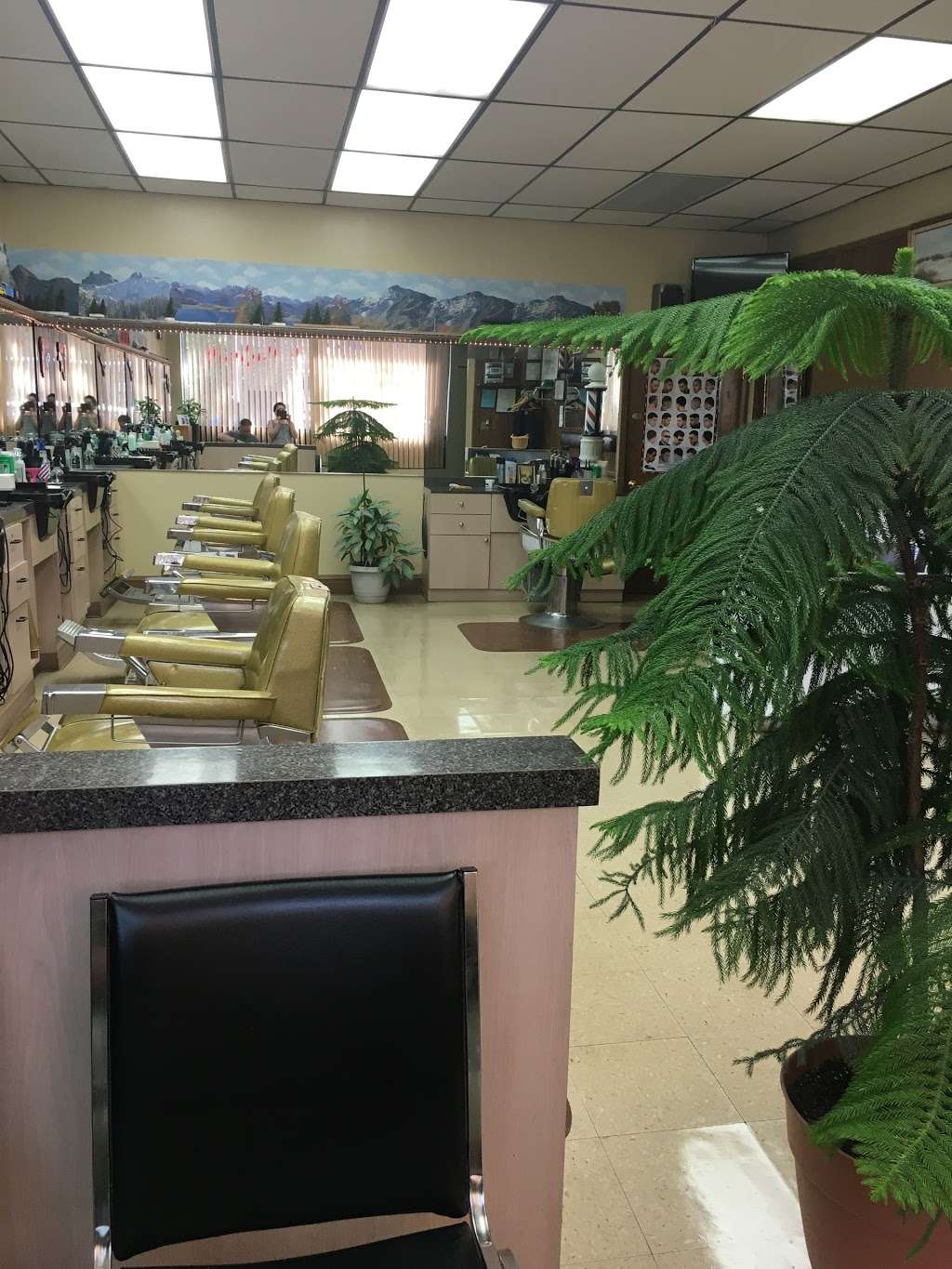 Ralphs Fifth Avenue Haircutting LLC | 150 Fifth Ave, Pelham, NY 10803, USA | Phone: (914) 738-4317