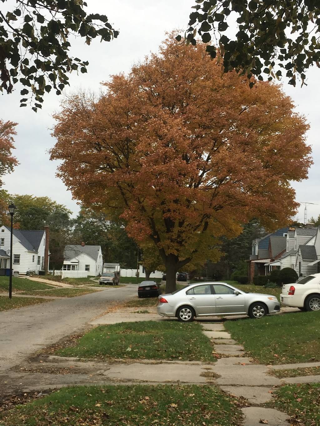 Corbin Park | 1226 Crestwood Rd, Toledo, OH 43612, USA | Phone: (419) 555-7356