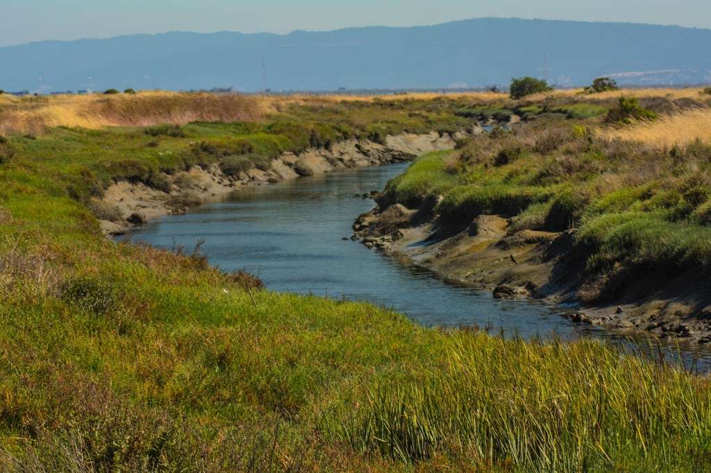 Hayward Regional Shoreline | 2639 Grant Ave, San Lorenzo, CA 94580