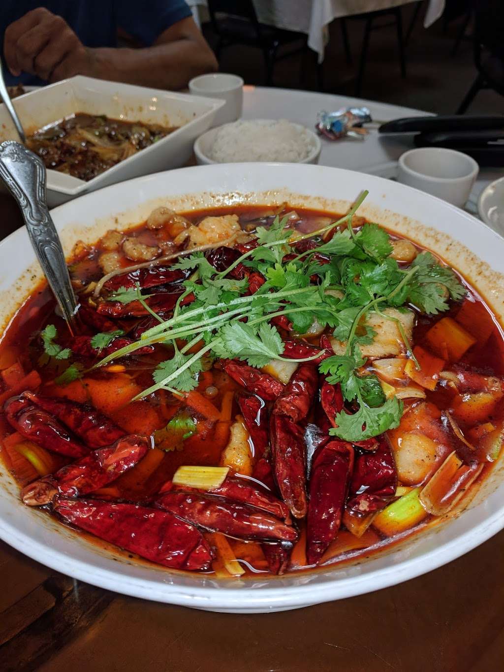 Sichuan Spring Chinese Restaurant | 1167 Raritan Ave, Highland Park, NJ 08904, USA | Phone: (732) 572-9510