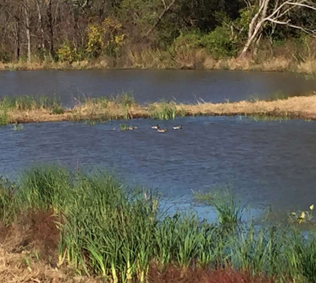 Clear Creek Regional Wetlands | Lenexa, KS 66227, USA